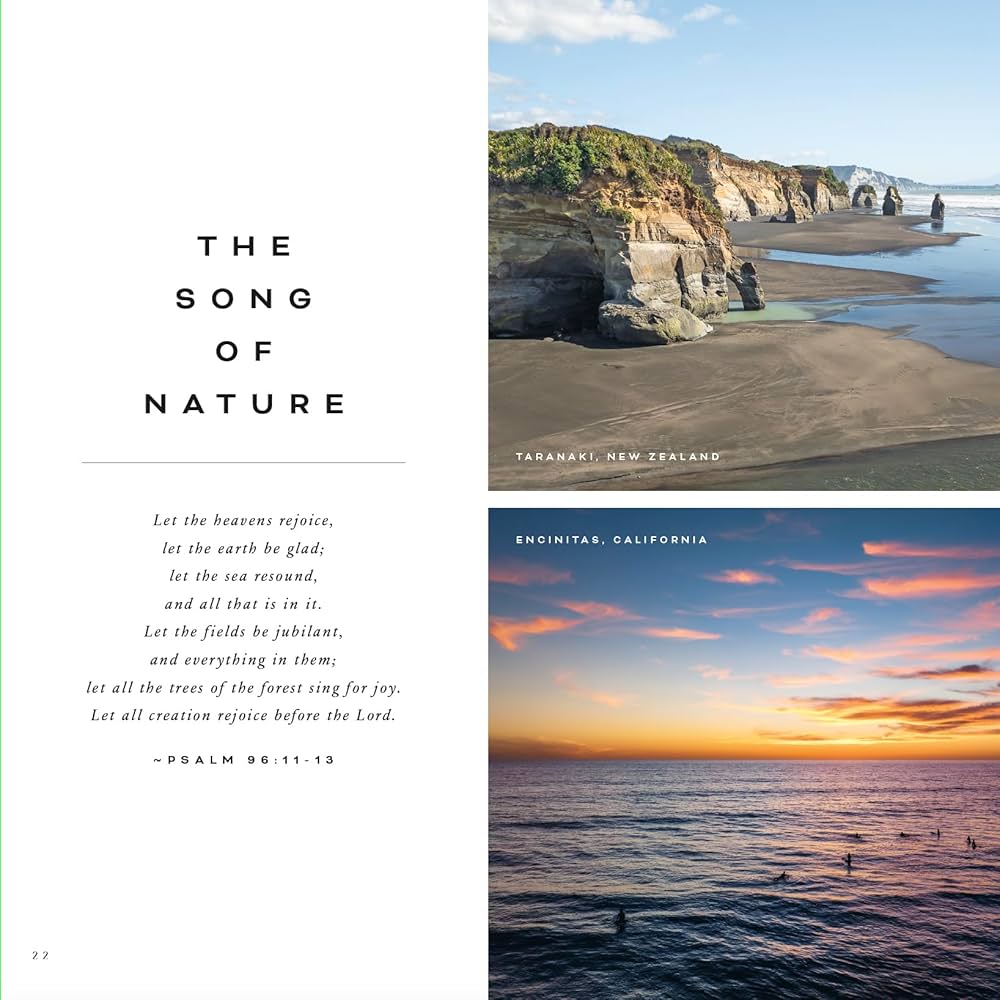 お値下げ可 The Natural Approach Amazon.co.jp: NATURAL APPROACH : Stephen D. Krashen, Tracy D